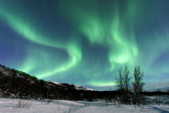 Aurora Borealis Photo over Winter Landcape